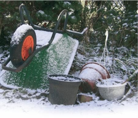 Are You Getting the Most Out of Looking After Your Garden In January?