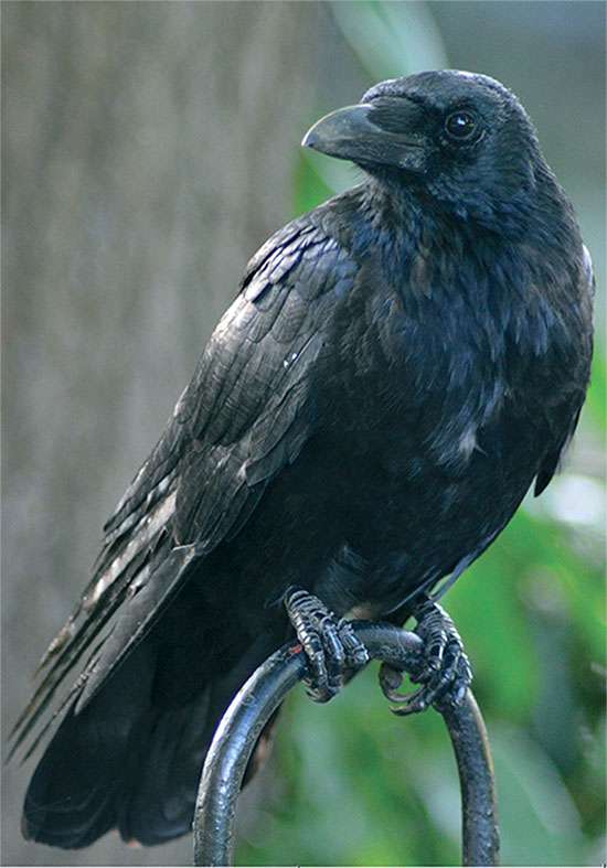 People Profile – Marion May Fashion Collector