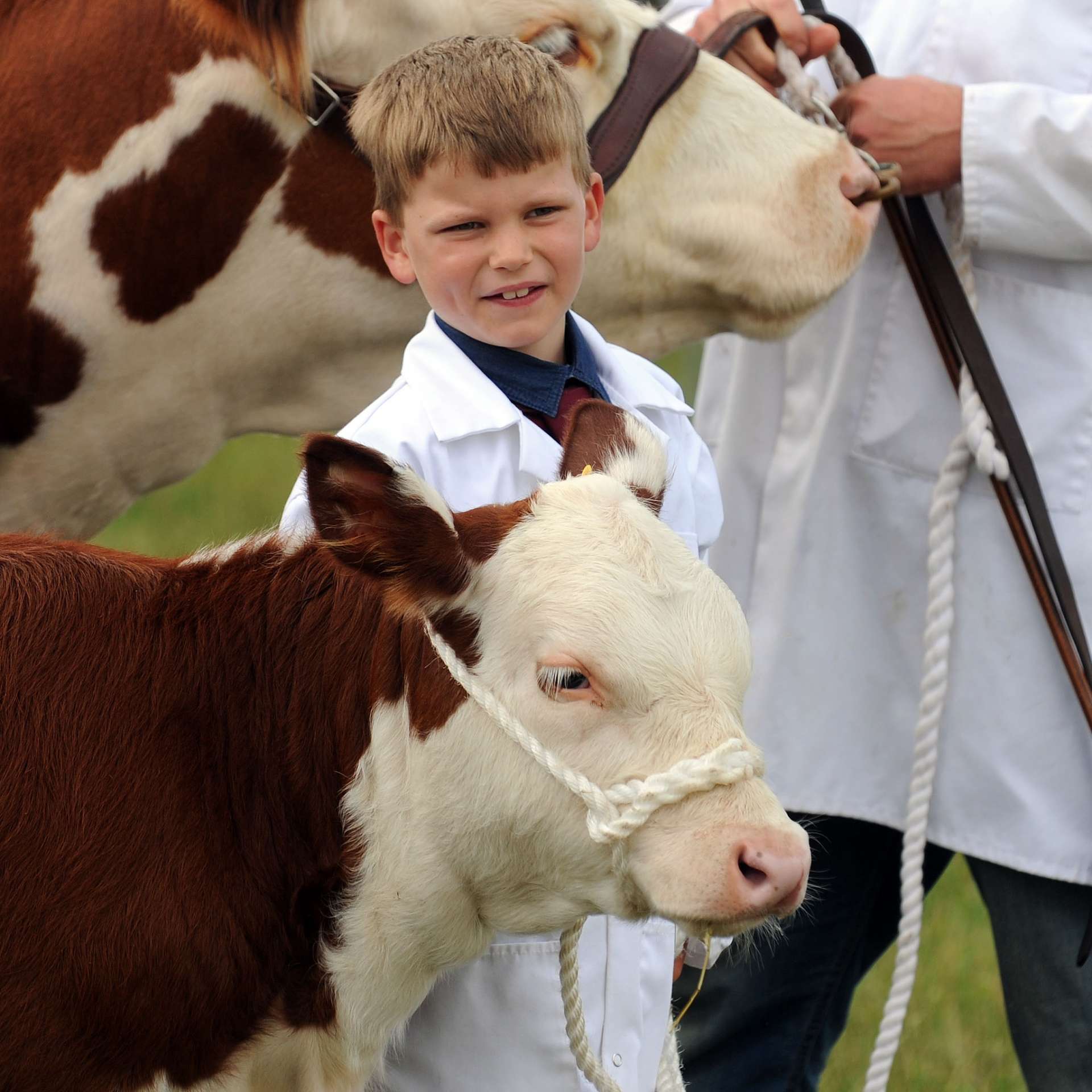 Cranleigh Show celebrates its 70th birthday