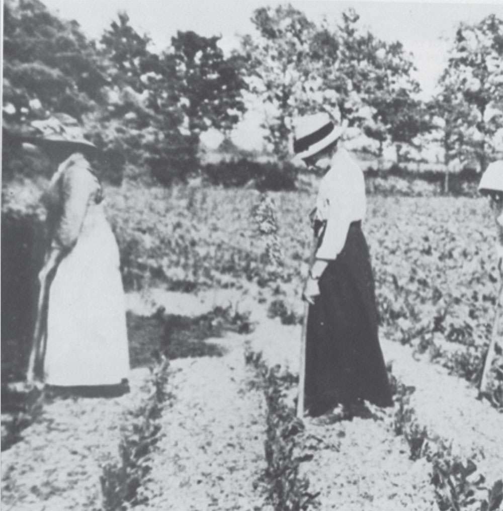 Joy Of Cranleigh – What was happening in Cranleigh in January 1917?