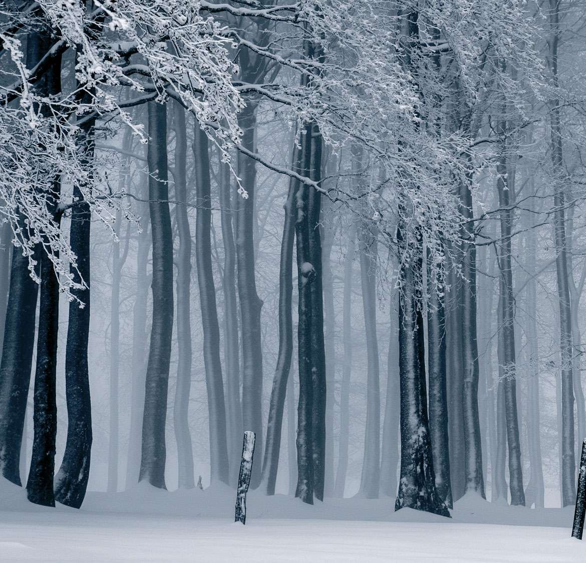 December  – Temperatures Drop – The Cold Kicks in