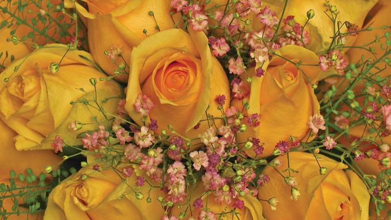 Cranleigh Under 11’s Football Team win the Championship