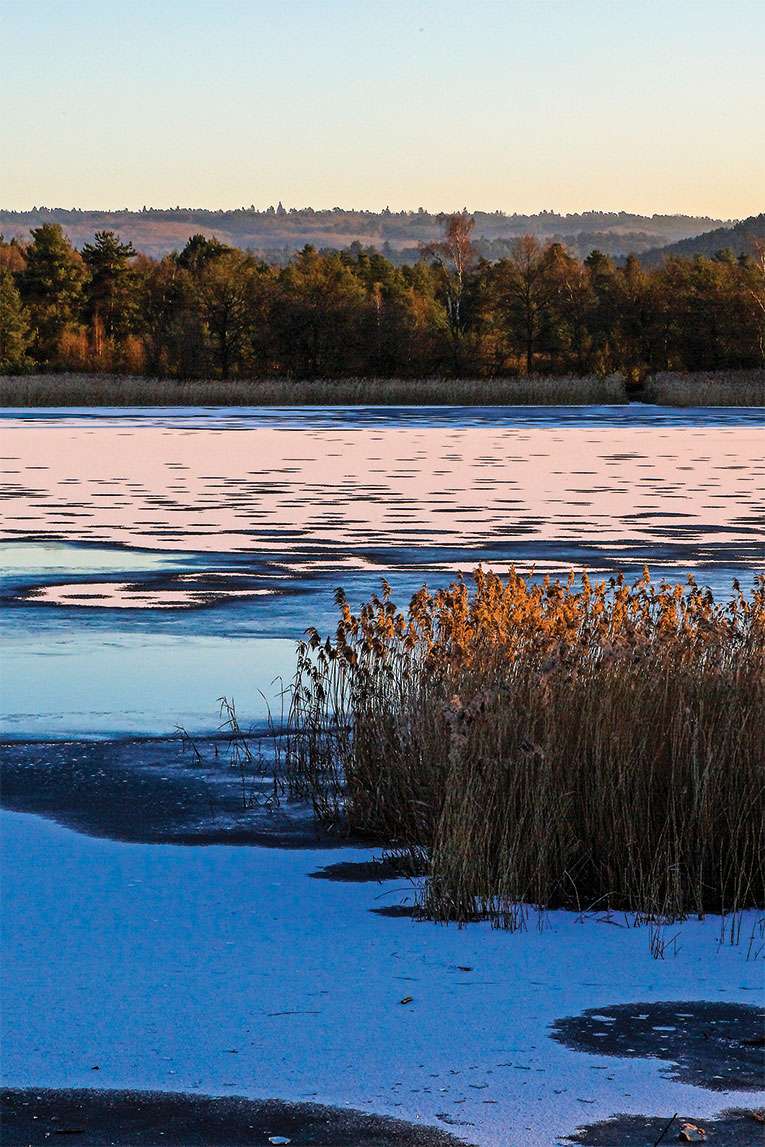 Cranleigh Camera Club Annual Exhibition