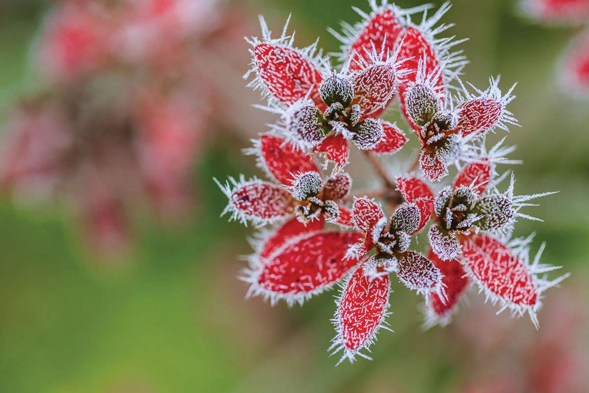 Kicking Over The Traces . . .