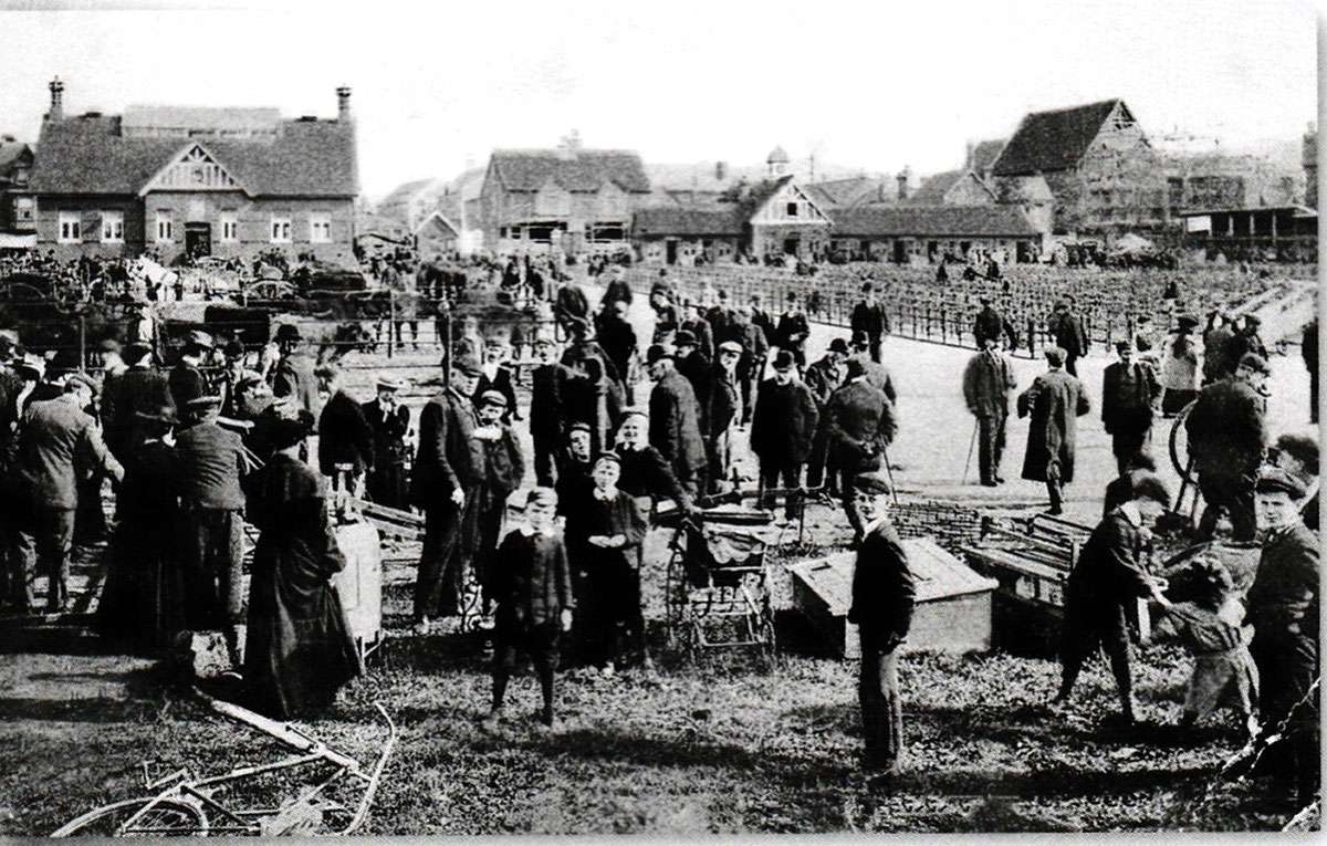 Crane Spotter – January 2018 – Hawfinch hordes hit the hills!