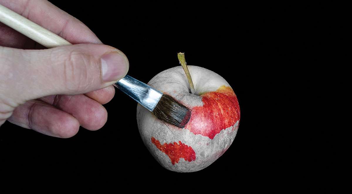 Millionaire’s Shortbread