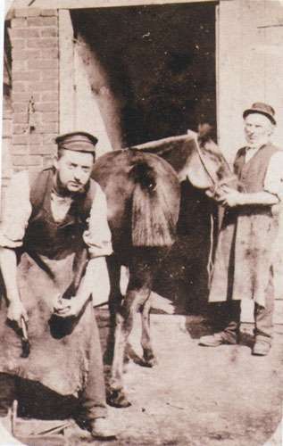 Natural Solutions to aid Fertility