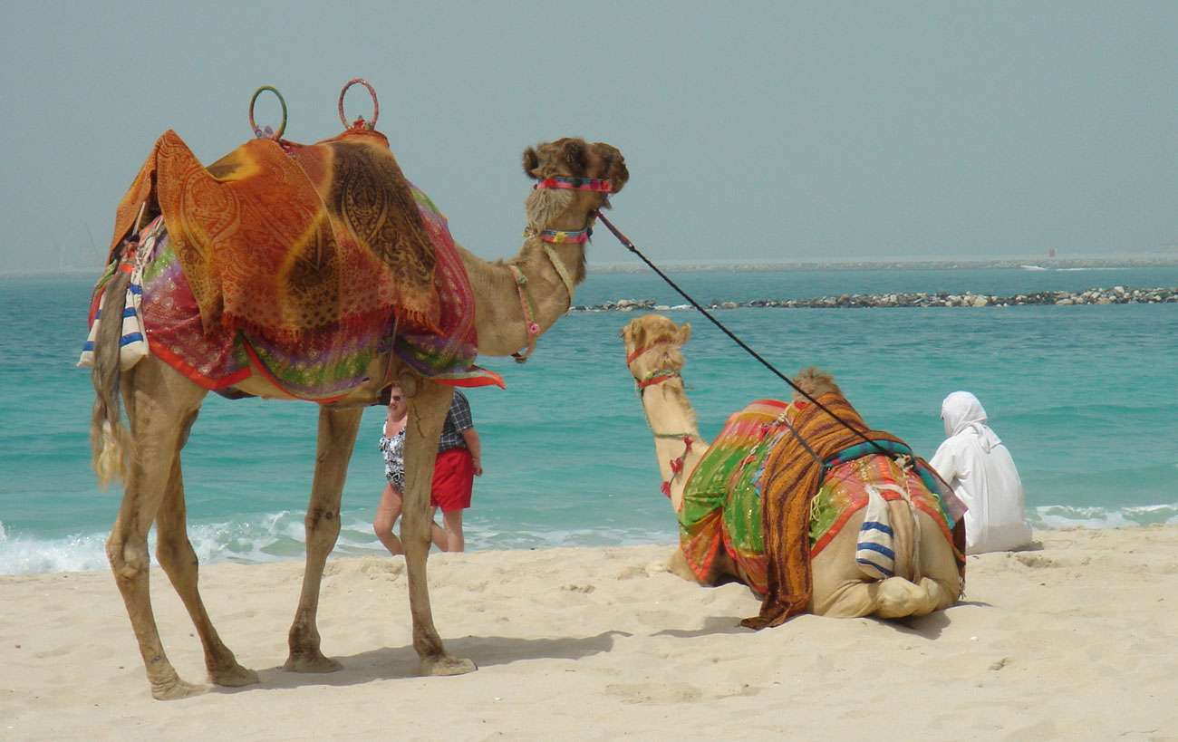 Margaret Joan Fontebasso (1931 – 2019)