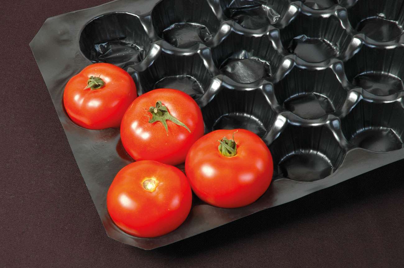 Margaret Joan Fontebasso (1931 – 2019)