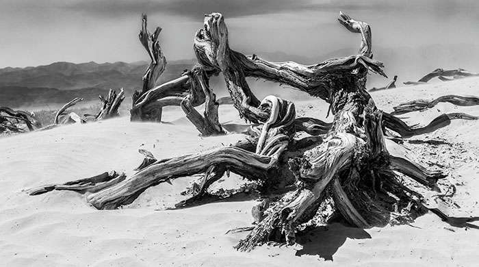 Cranleigh Camera Club – 2019-2020 Season