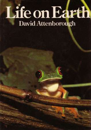 People Profile – David Snell – Picture Framer, Guitar Maker