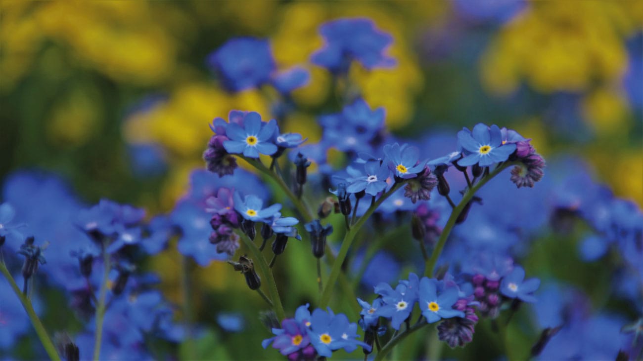 Helping our Community!