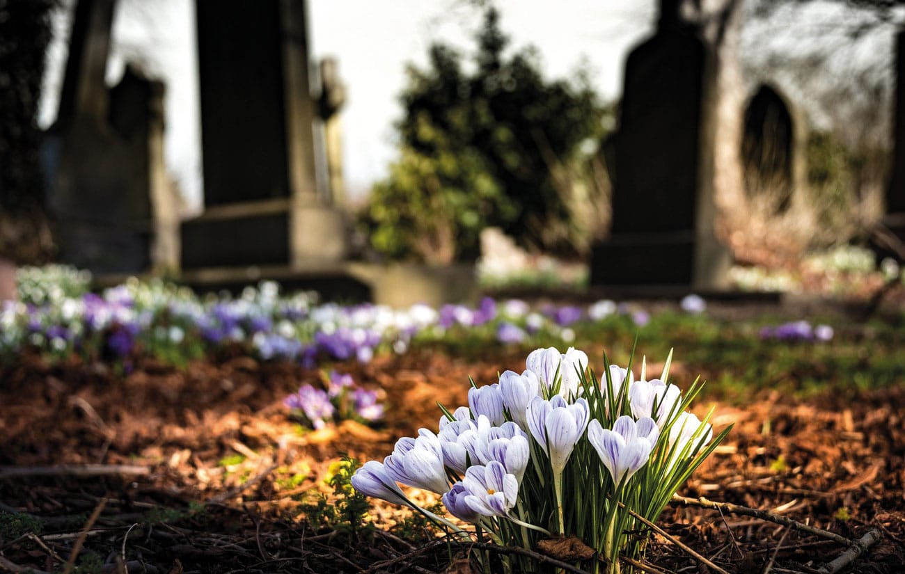 Poets Corner – Raymond Holt – June 2020