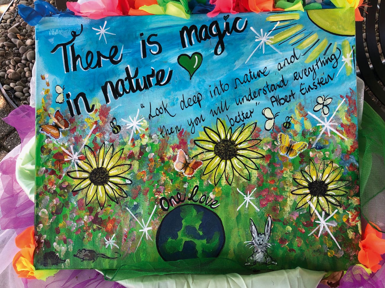 Wild Wonders – September 2020