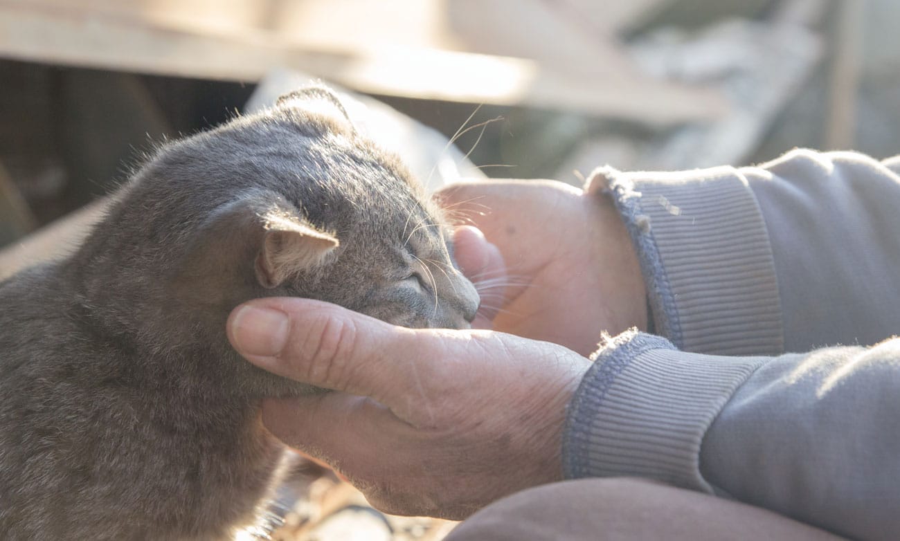 Poets Corner – October 2020 – Raymond Holt