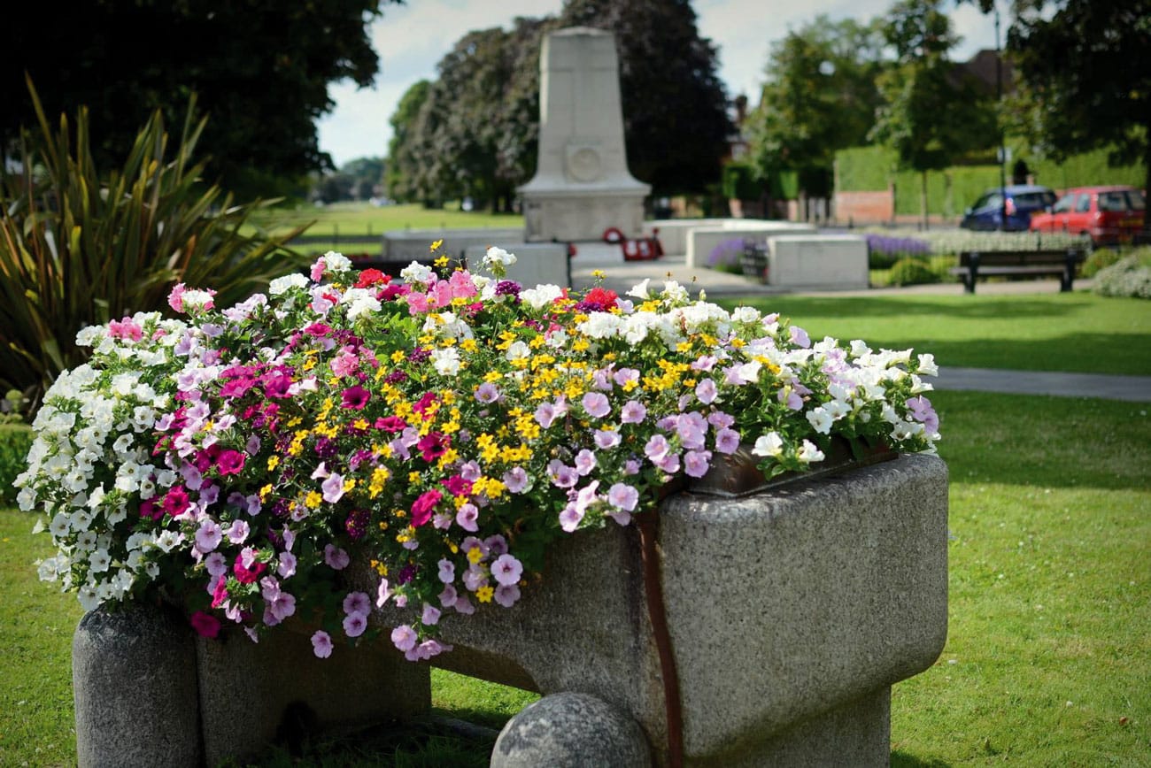 It’s another GOLD for Cranleigh in Bloom!