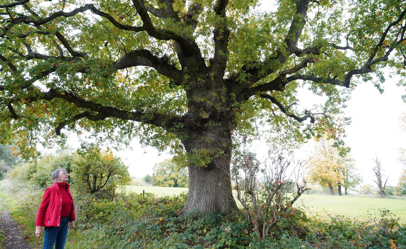 Wild Wonders – November 2020