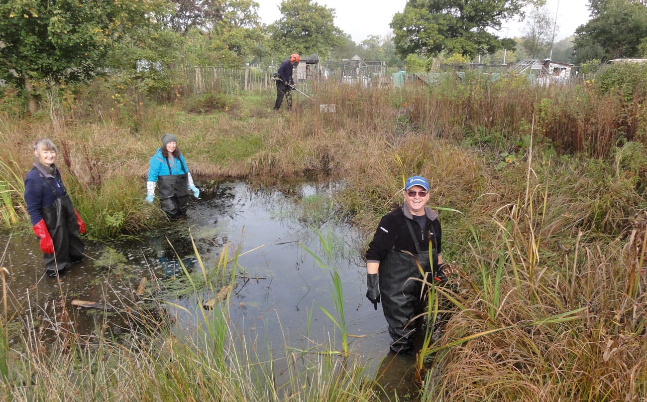 Wild Wonders – December 2020