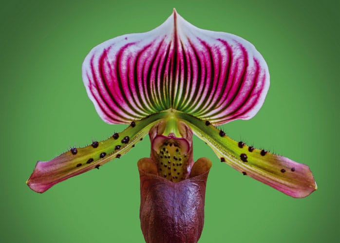 Cranleigh Camera Club – December 2020 News