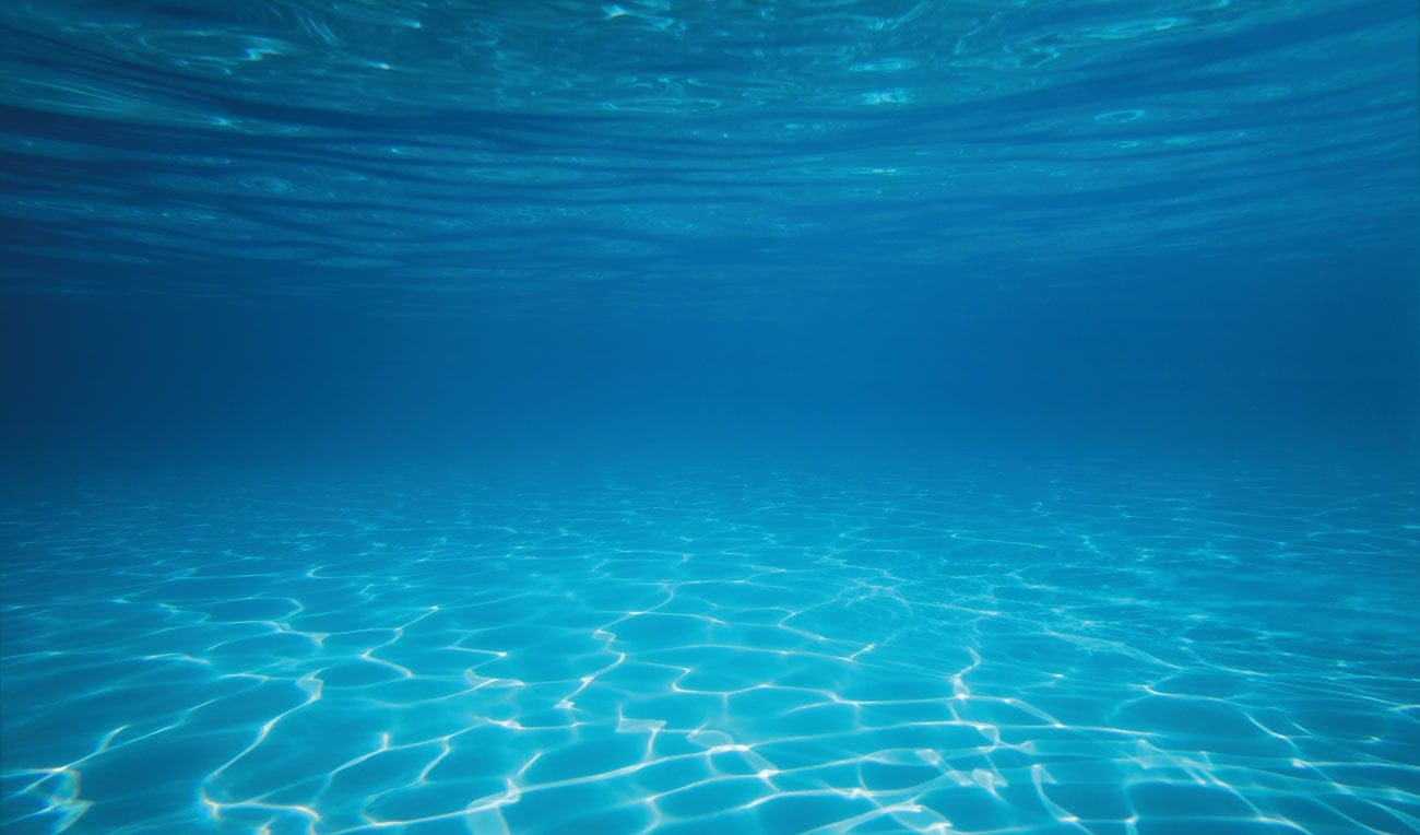 Cranleigh Amateur Swim Club – New Year, New Swim