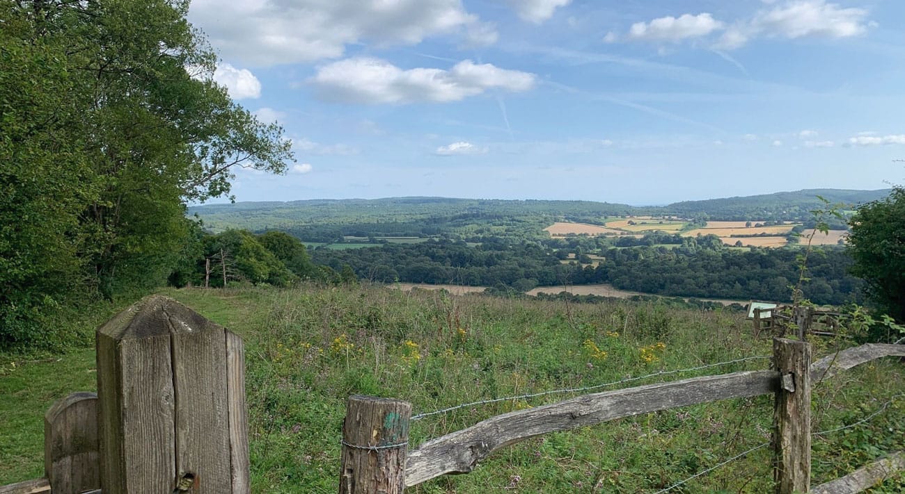 Counting Steps – The White Downs – AllTrails