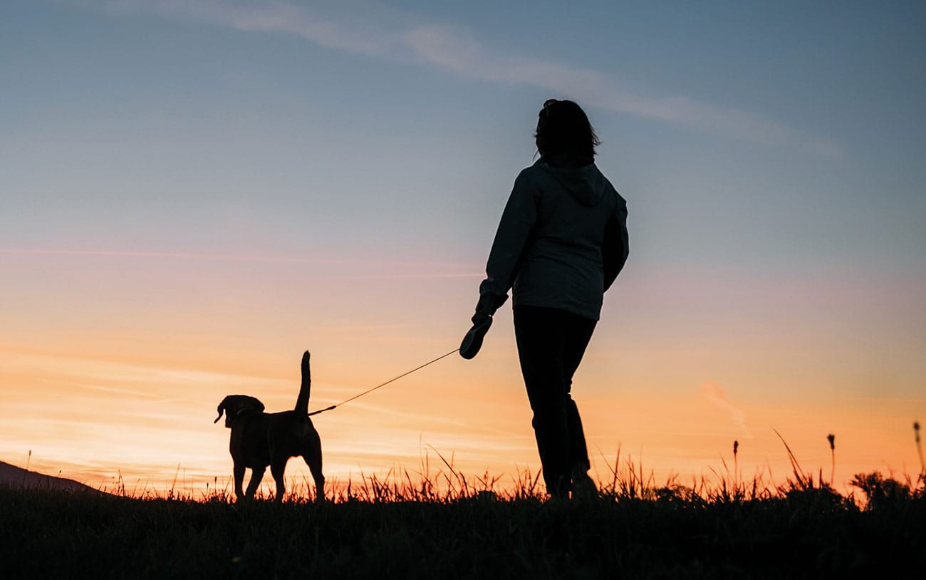 New Year – New Walk