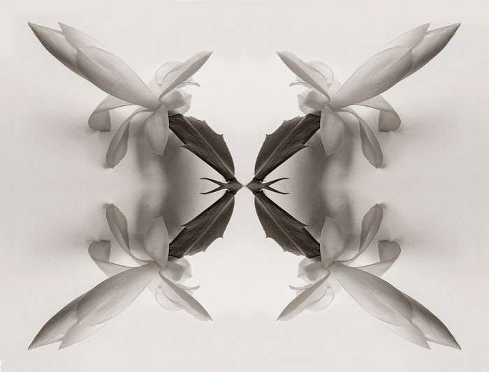 Cranleigh Camera Club – Latest Meetings