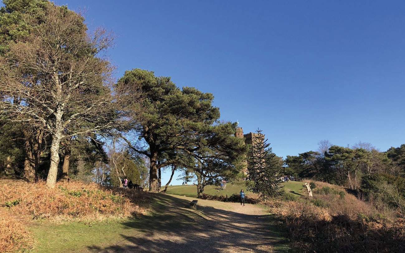 Counting Steps – The Parrot, Leith Hill and Jayes Park Walk – AllTrails
