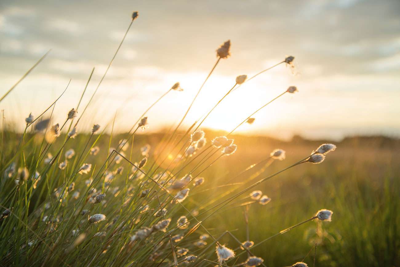 You’ve Got The Green Light – Arran Holcombe