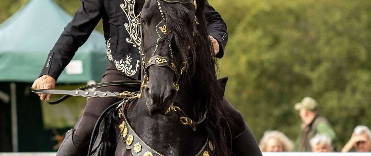 The Nonsuch Town and Country Show