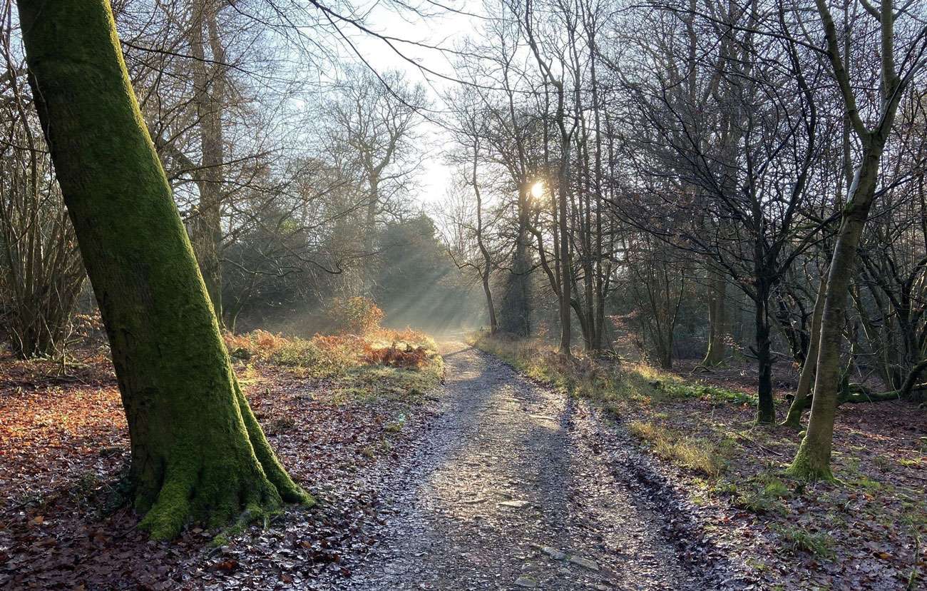 Counting Steps – Prospects of Polesden Circular – AllTrails