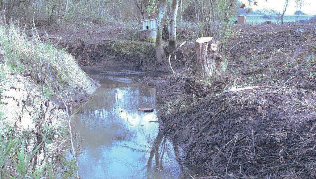 Cranleigh Community Rivers Project
