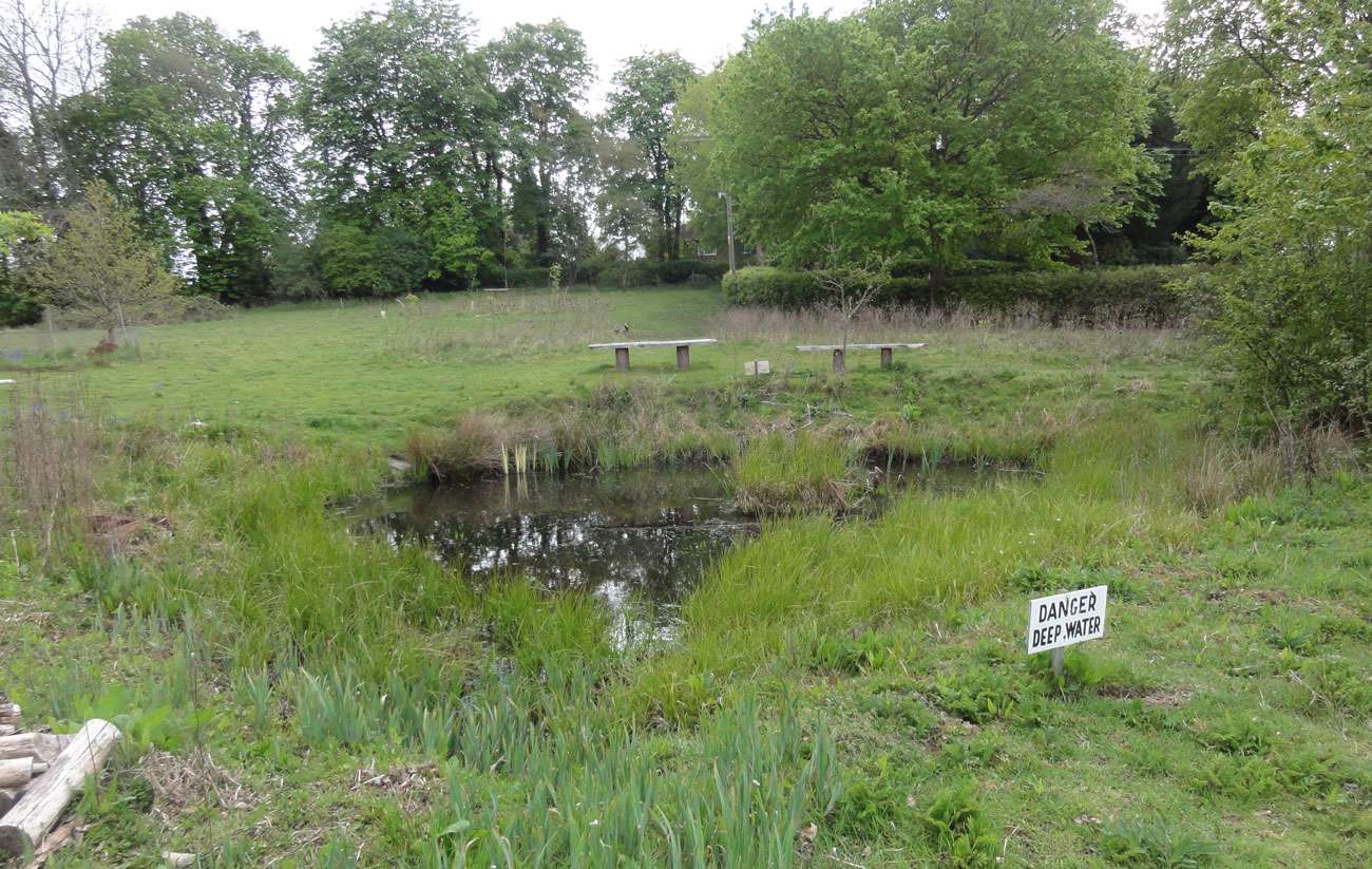 Make a Difference! – Become a Conservation Volunteer