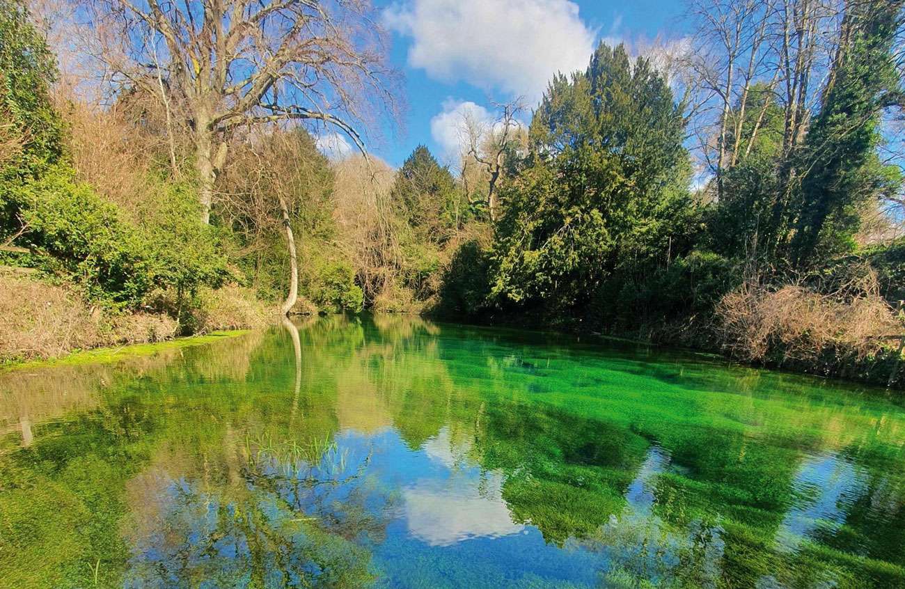 Counting Steps – Silent Pool and Saint Martha’s Hill Circular – AllTrails