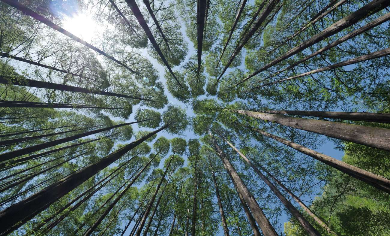 South East landowners urged to help with climate change