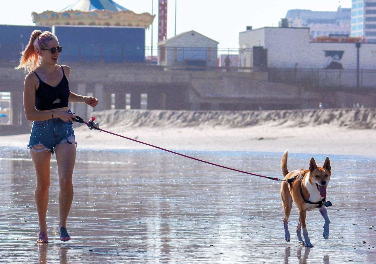 Time To Be Social – Sara Bridgeman