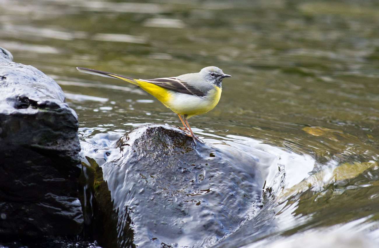 Joy of Cranleigh – Goodbye to Mann’s, October 2nd 2021 – November 2021