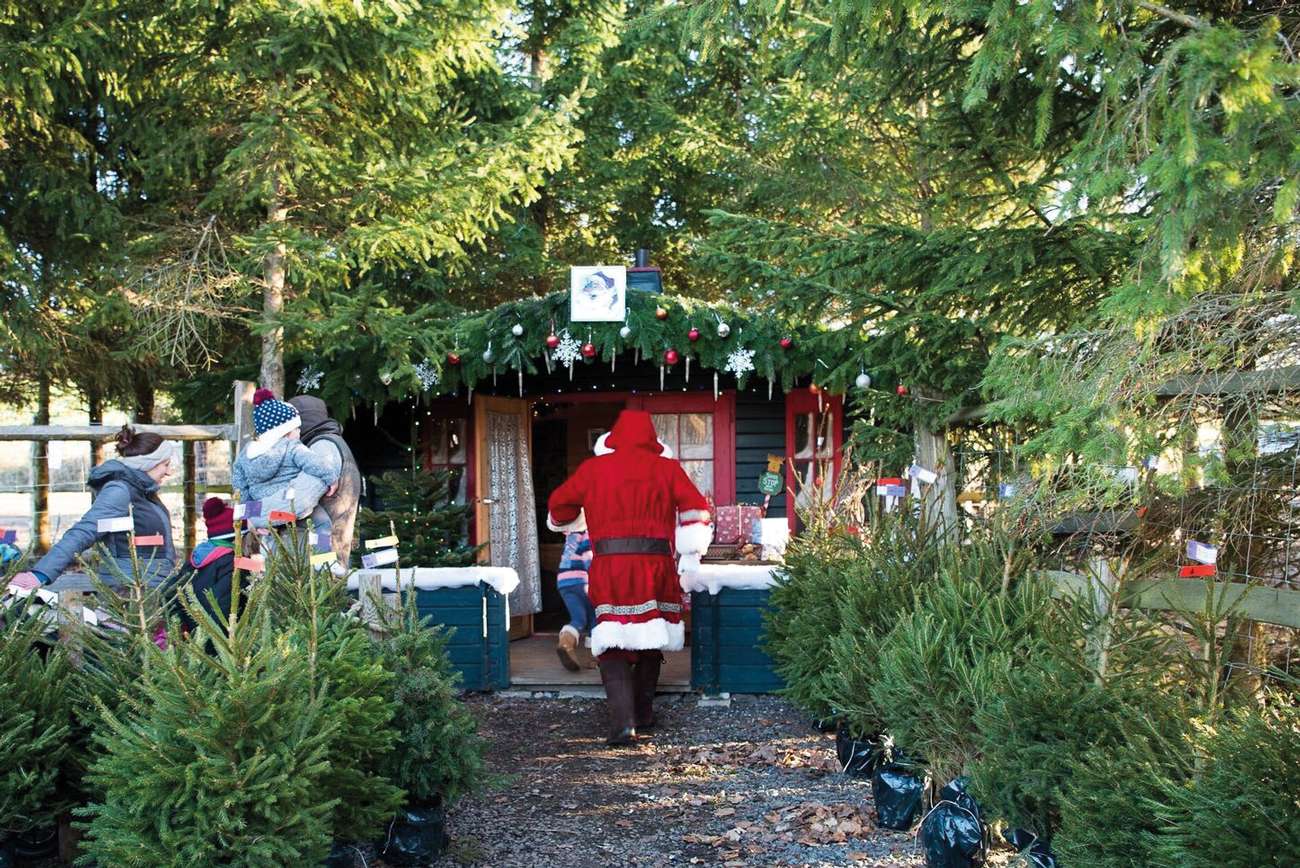 Wild Wonders – December 2021 – Miki Marks