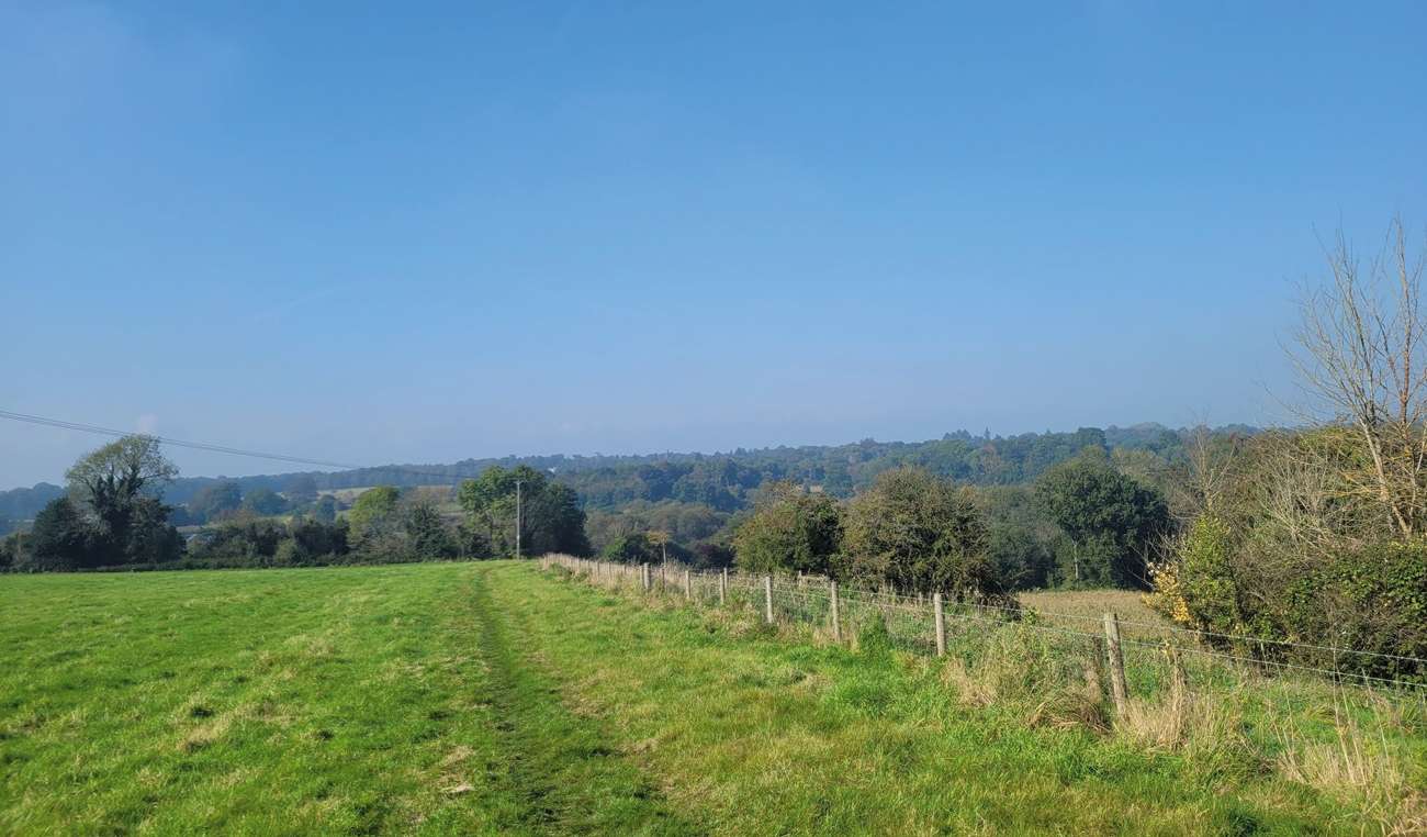 Counting Steps – Godalming and Eashing Circular – AllTrails