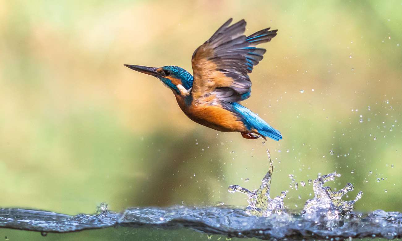 Book Review – Diddly Squat – Jeremy Clarkson