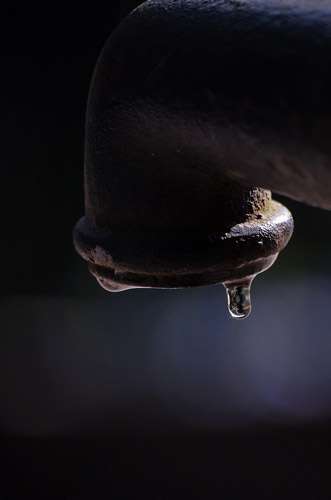 Cranleigh Camera Club – Love What You See!