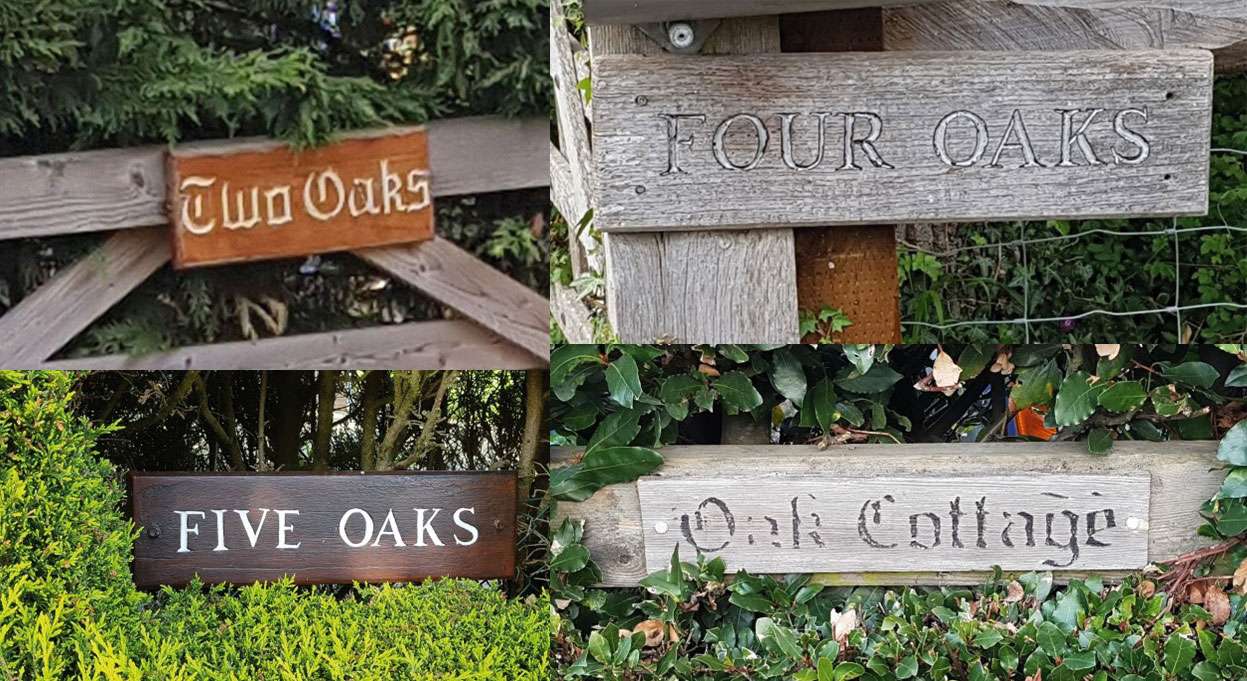 Garden Life – July 2022