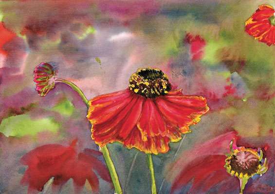 How to save money in the supermarket – Sharon Duggan