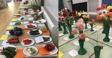 Ewhurst Horticultural Society – Autumn Show 2022
