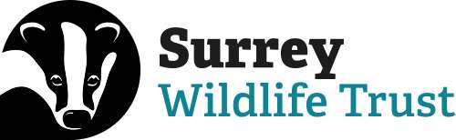 Surrey Wildlife Trust – Webinars Launched to Help our Communities take Action for Nature