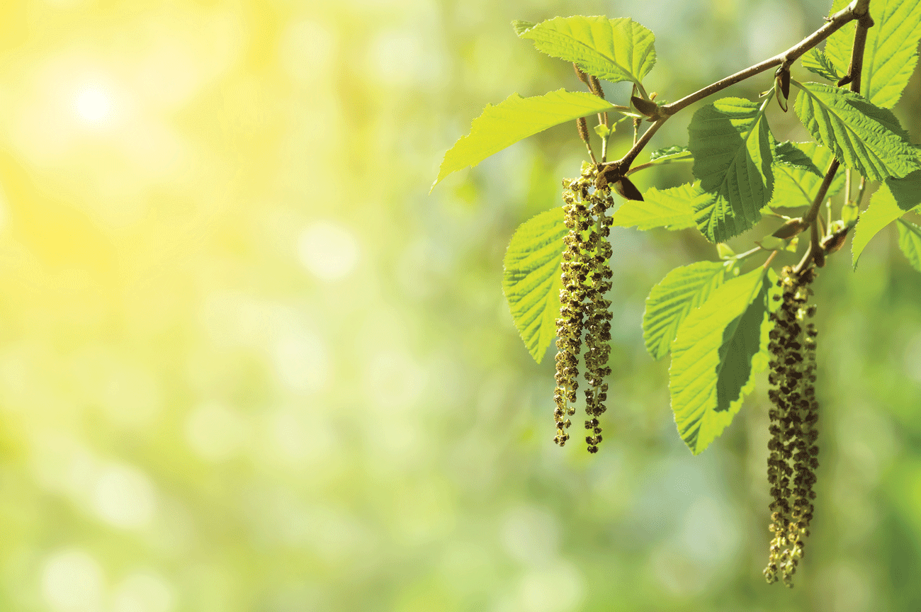 Wild Wonders – May 2023