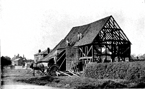 The Joy of Cranleigh – A Walk on the Common