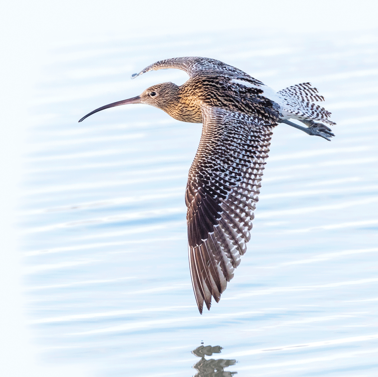 All Things Must Pass – The DUO