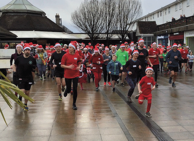 Crane Spotter: An alternative Christmas ‘redbreast’