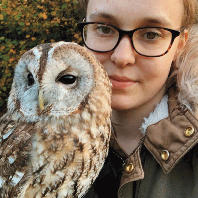 Crane Spotter: Record local year masks a cause for concern